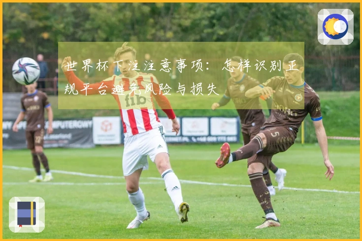 世界杯下注注意事项：怎样识别正规平台避免风险与损失
