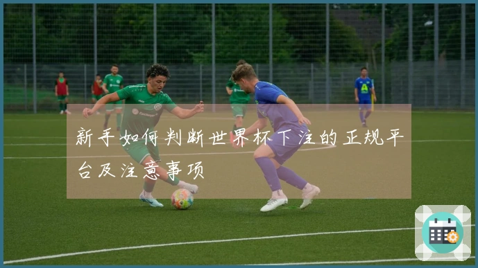 新手如何判断世界杯下注的正规平台及注意事项