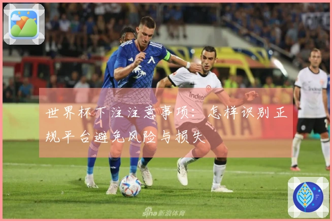 世界杯下注注意事项：怎样识别正规平台避免风险与损失