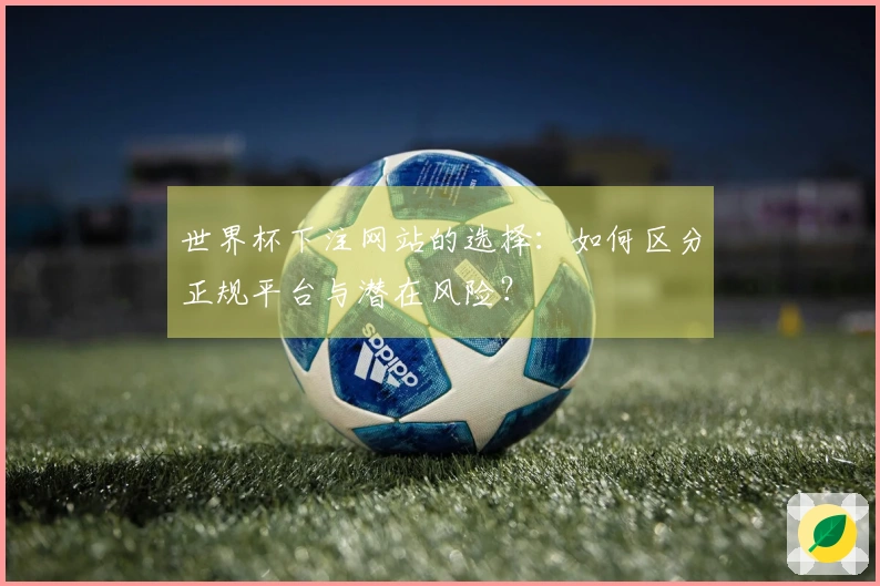 世界杯下注网站的选择：如何区分正规平台与潜在风险？