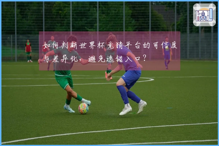 如何判断世界杯竞猜平台的可信度与差异化，避免选错入口？