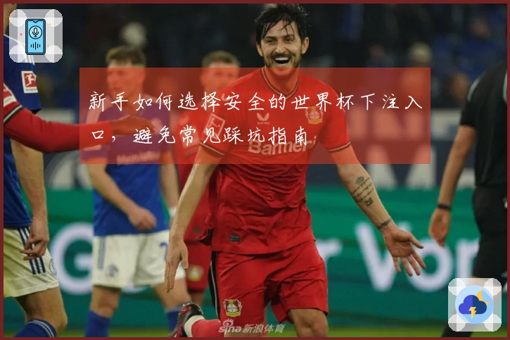 新手如何选择安全的世界杯下注入口，避免常见踩坑指南