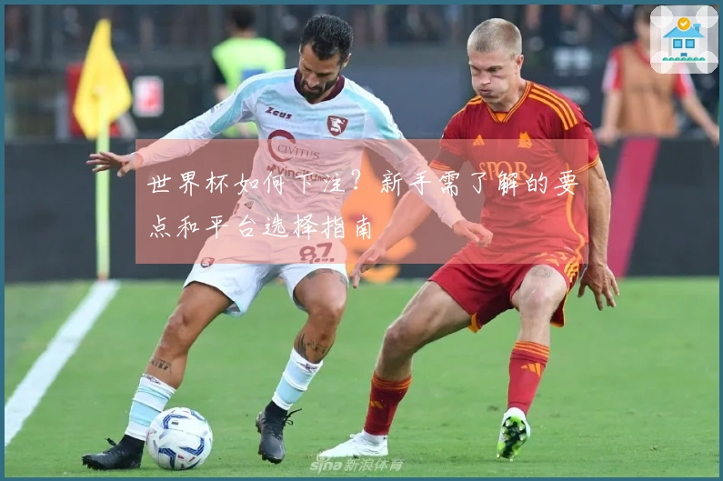 世界杯如何下注？新手需了解的要点和平台选择指南