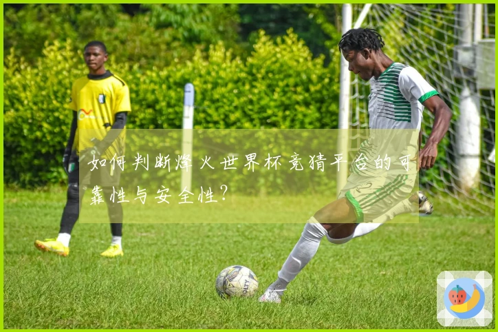 如何判断烽火世界杯竞猜平台的可靠性与安全性？
