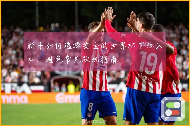 新手如何选择安全的世界杯下注入口，避免常见踩坑指南