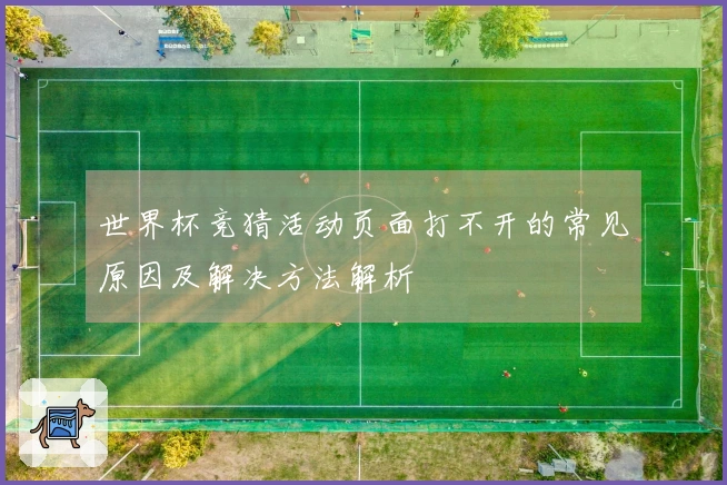 世界杯竞猜活动页面打不开的常见原因及解决方法解析
