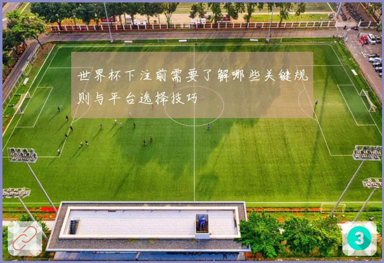 世界杯下注前需要了解哪些关键规则与平台选择技巧