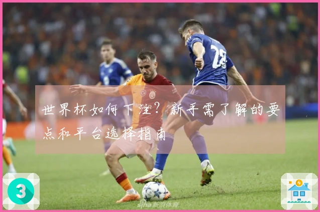 世界杯如何下注?新手需了解的要点和平台选择指南