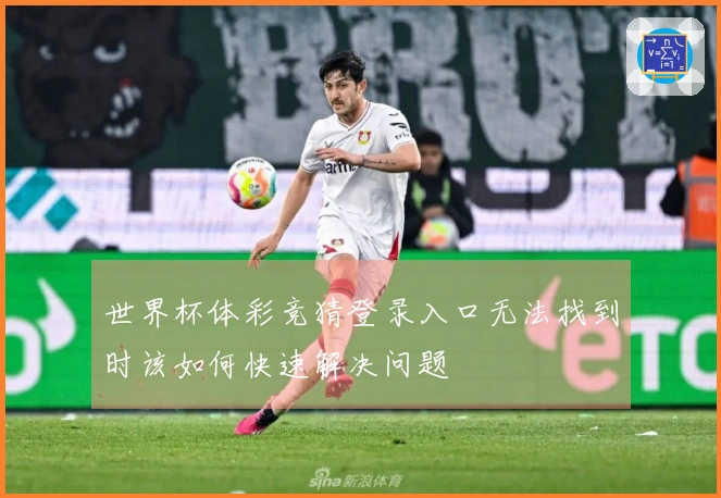世界杯体彩竞猜登录入口无法找到时该如何快速解决问题