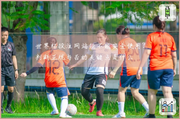 世界杯投注网站能不能安全使用？判断正规与否的关键点是什么