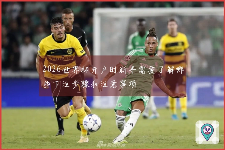 2026世界杯开户时新手需要了解哪些下注步骤和注意事项