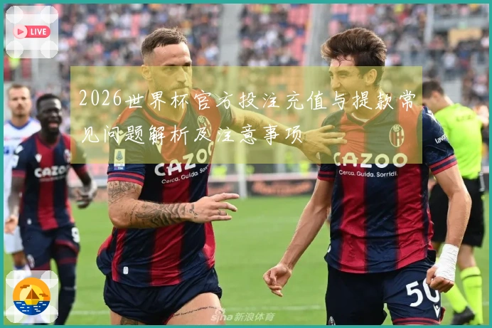 2026世界杯官方投注充值与提款常见问题解析及注意事项