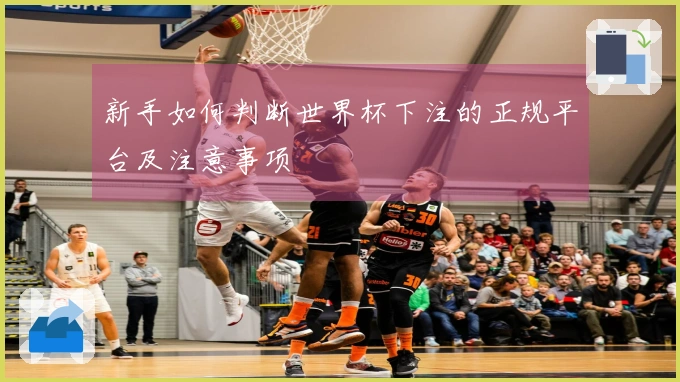 新手如何判断世界杯下注的正规平台及注意事项
