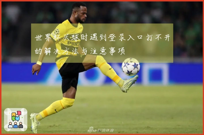 世界杯买球时遇到登录入口打不开的解决方法与注意事项