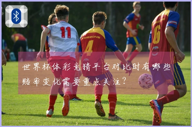 世界杯体彩竞猜平台对比时有哪些赔率变化需要重点关注？